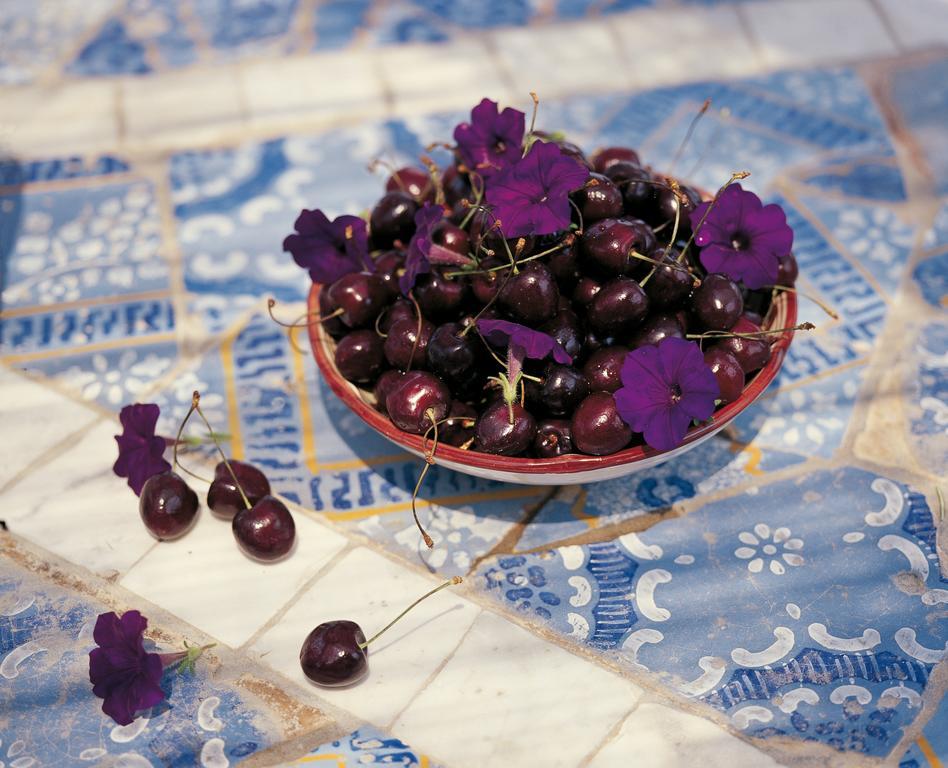 Villa Laetitia 폰차 외부 사진